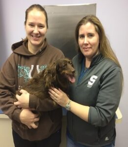 brown small dog in the arms of two caregivers